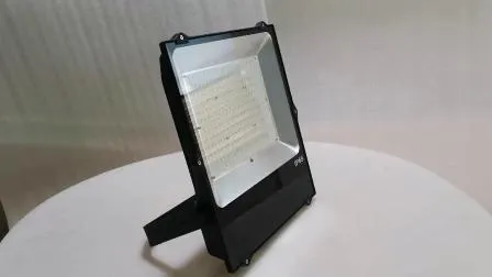 High Power LED Lighting Outdoor LED Flood Light 100W 150W 200W Replace Halogen Light